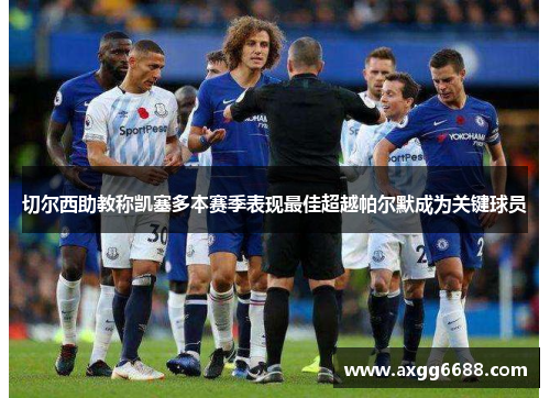 切尔西助教称凯塞多本赛季表现最佳超越帕尔默成为关键球员